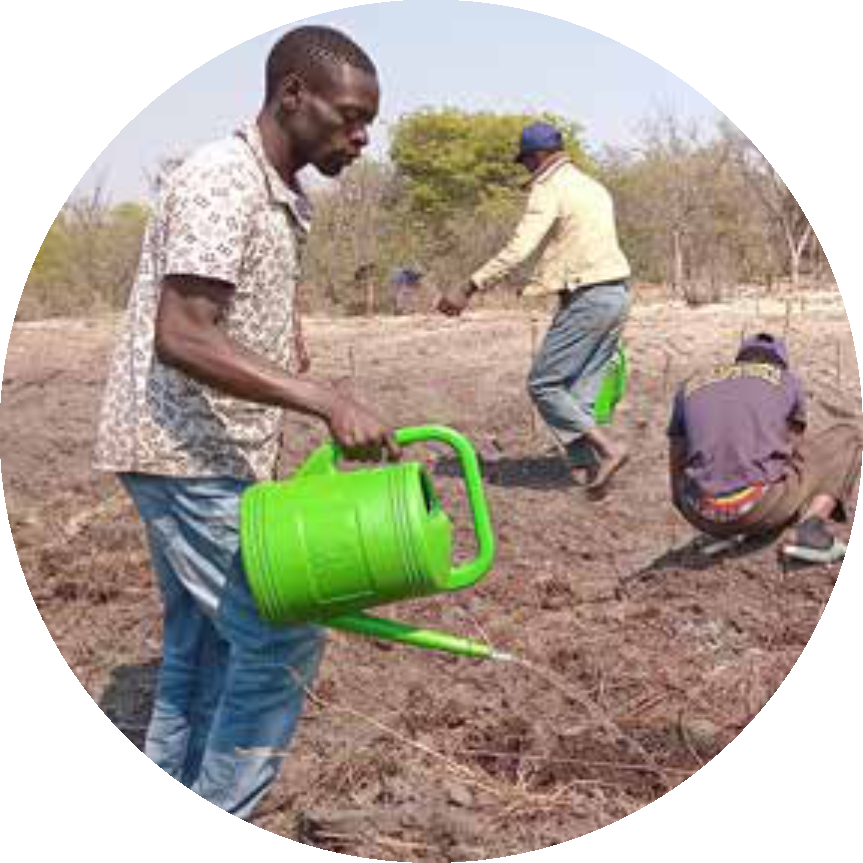 Agriculture graphic