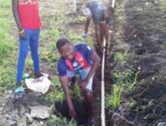 Water Assistant Training