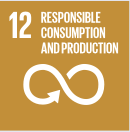 SDG 12